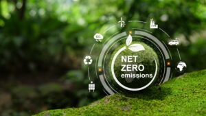 Net Zero
