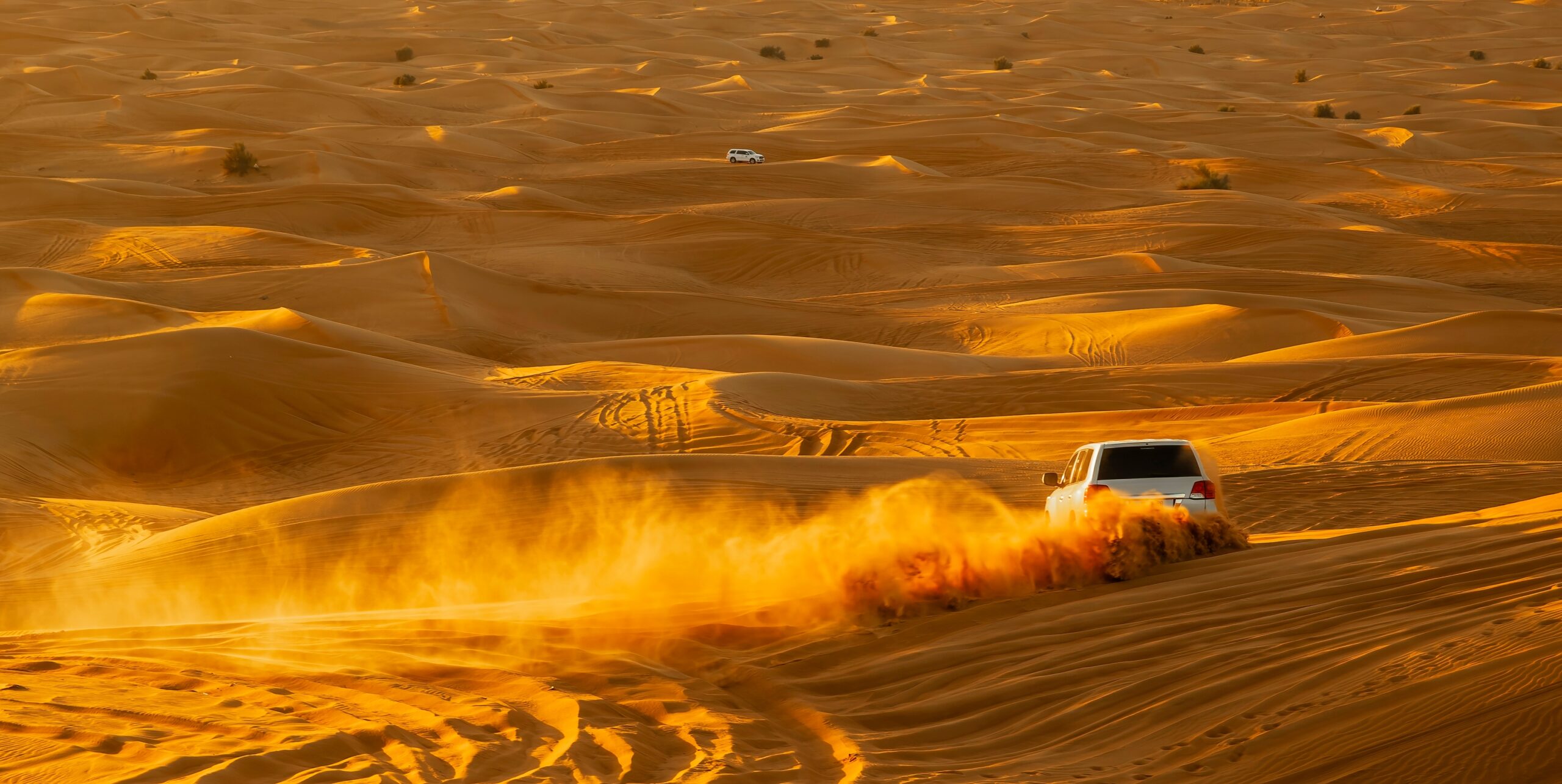 رحلة الصحراء 2024