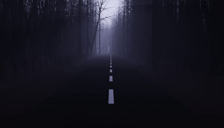 Foggy road in a dark forest, perfect for a spooky Halloween night drive.