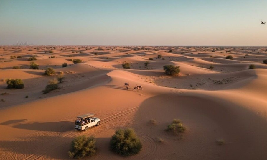 رحلات الطرق